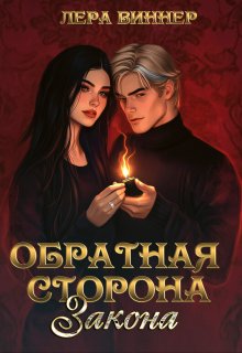 Обратная сторона закона (Лера Виннер)