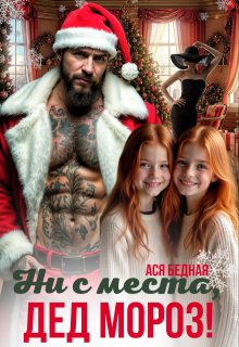 Ни с места, Дед Мороз! (Ася Бедная)