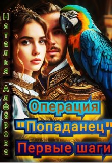 Операция «Попаданец». Первые шаги (Наталья Алфёрова)